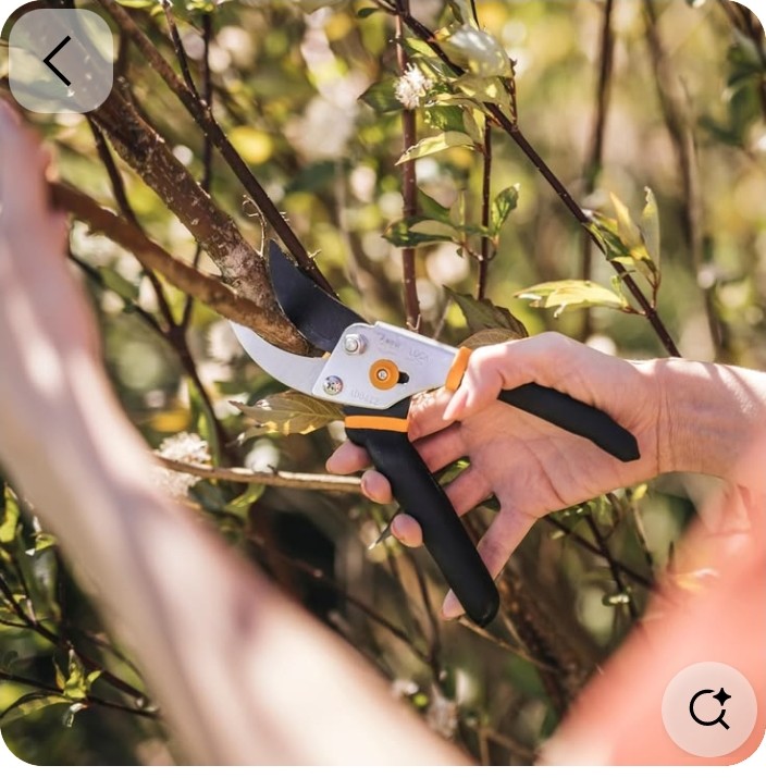 Fiskars Bypass Pruning Shears for Everyday Garden Trimming